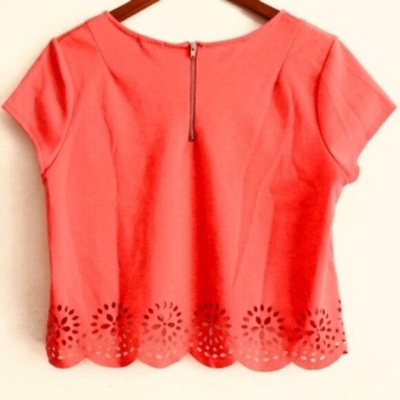 urban outfitters Pins Needles Crop Top M Laser Cut Scallop Hem Boxy - Picture 9 of 11